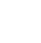 Disabled Icon